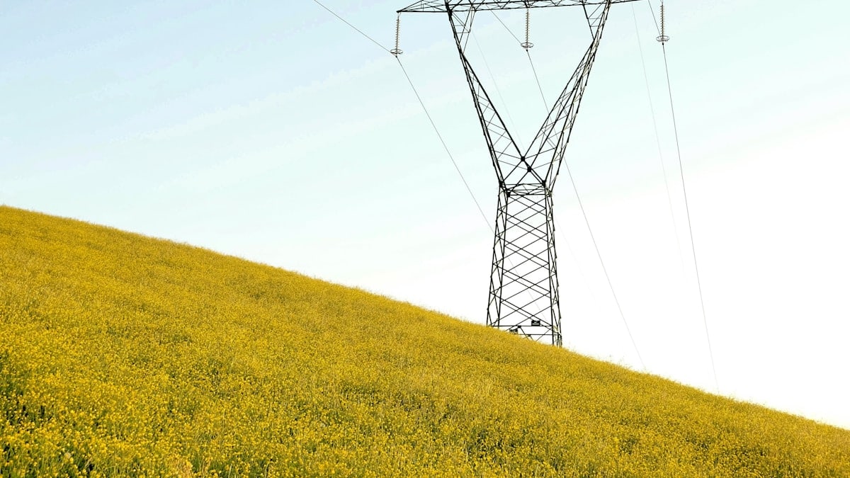 black metal electric tower on yellow grass field under white sky during daytime